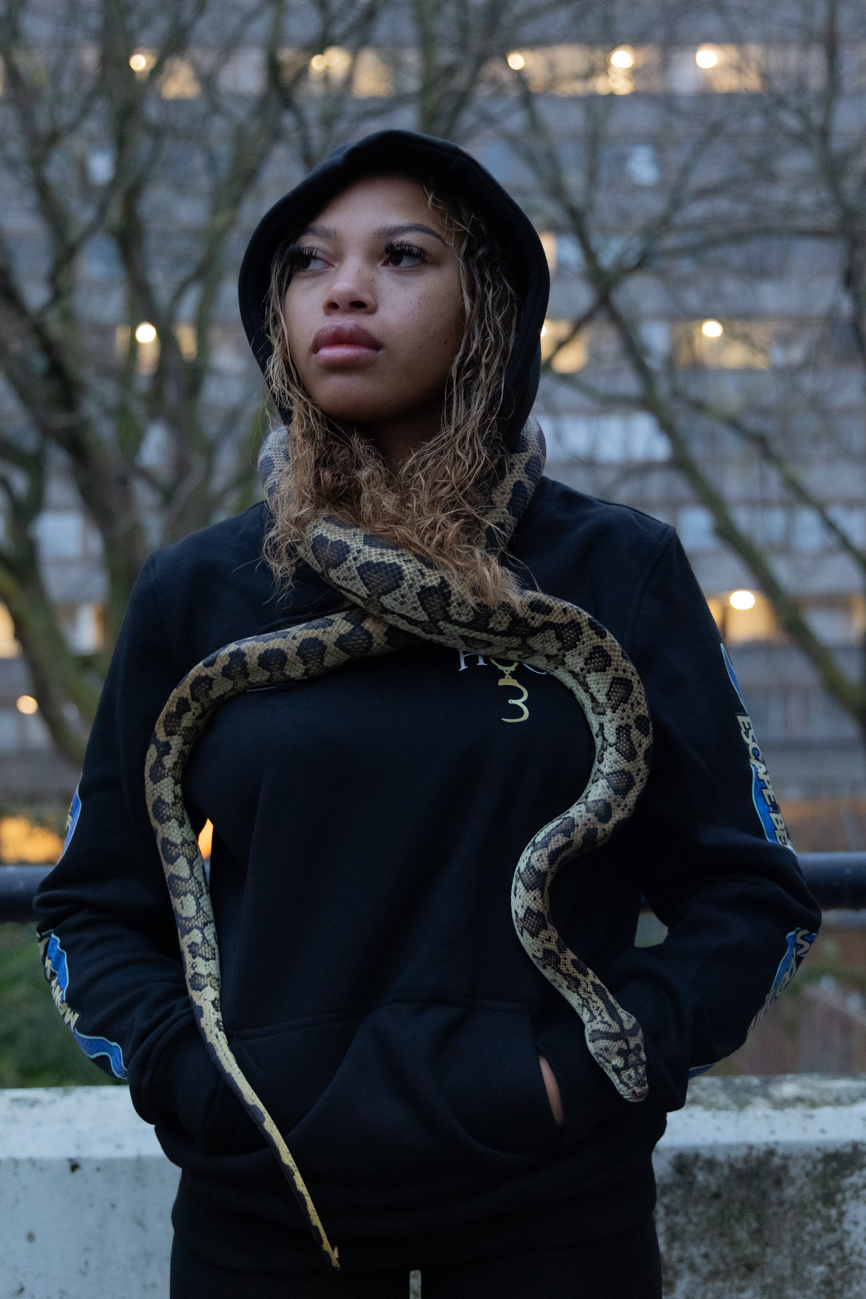 Concrete Jungle: Serpent Survival Hoodie