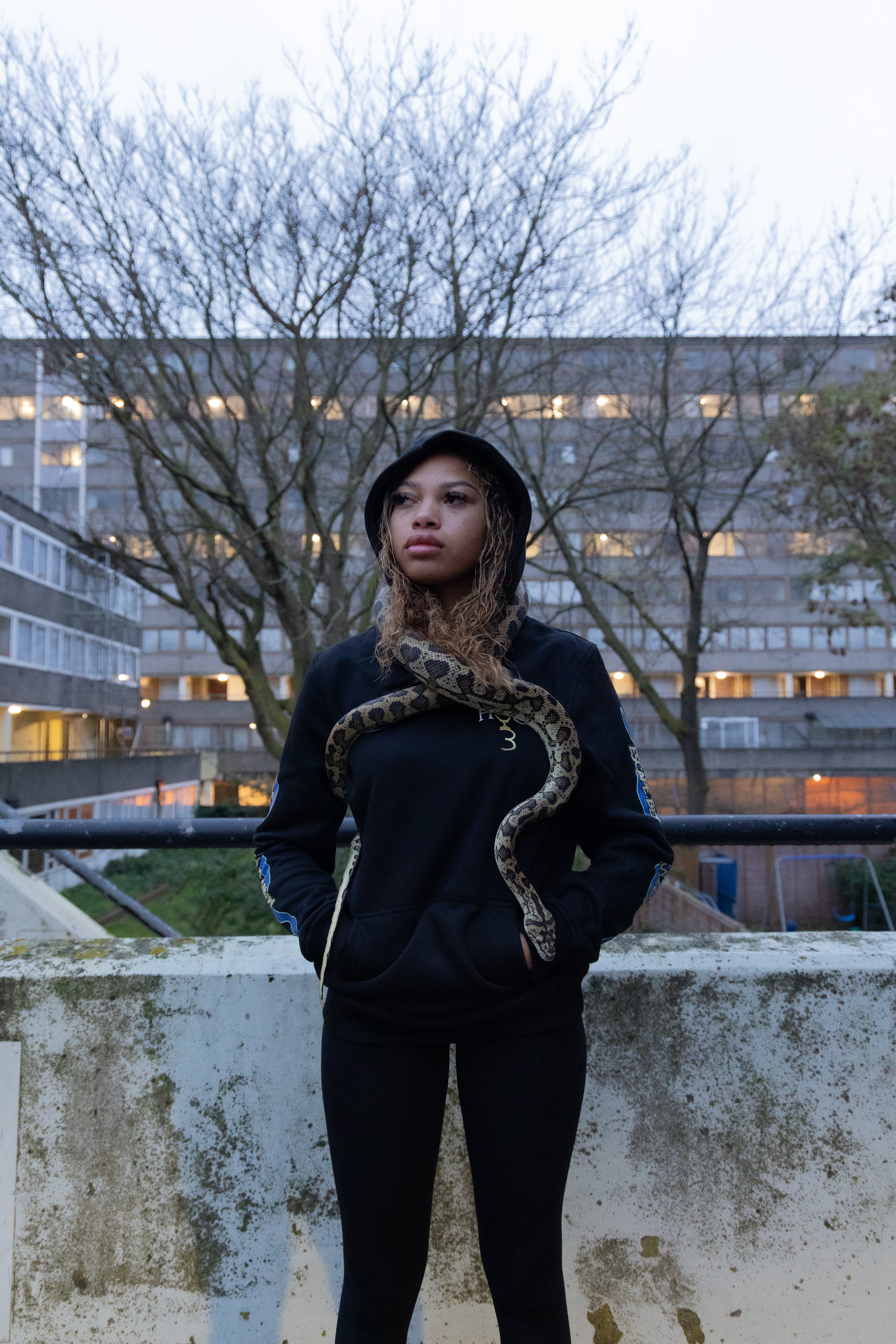 Concrete Jungle: Serpent Survival Hoodie